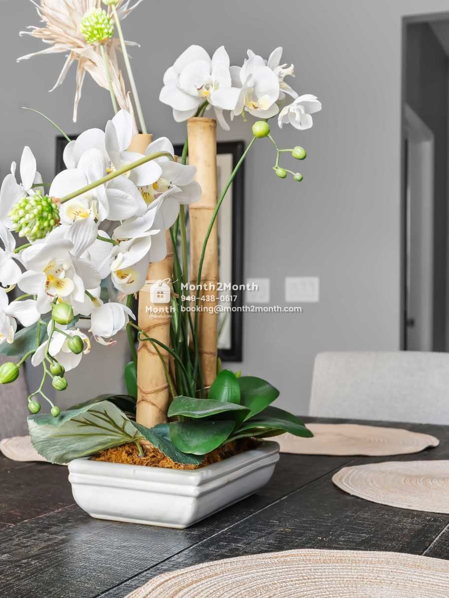 Portrait original 20251217100416 ddb7fdb2 70 dji 0921