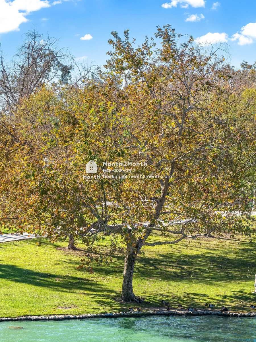 Portrait original 20260112113950 704e92a0 outdoor 17