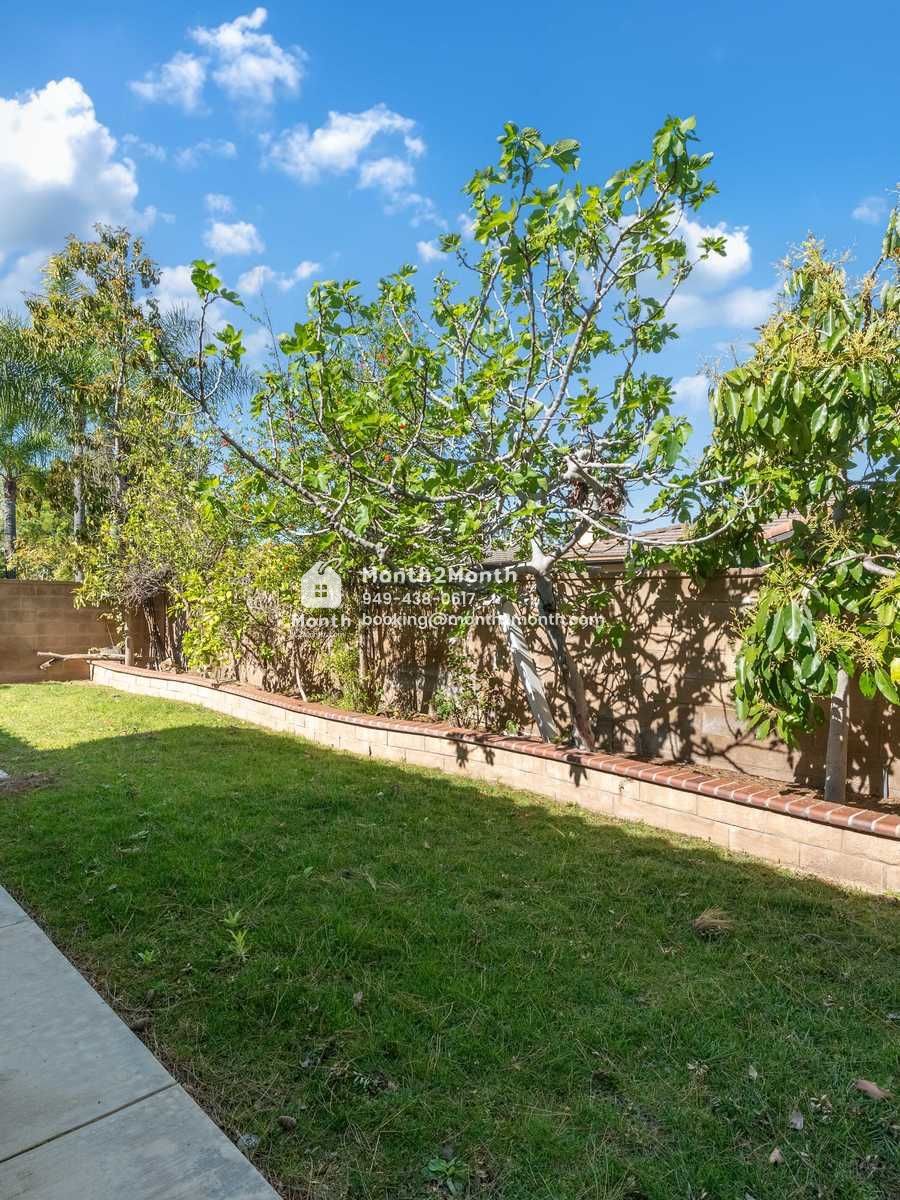 Portrait original 20260317115811 5f8f9868 outdoor 08